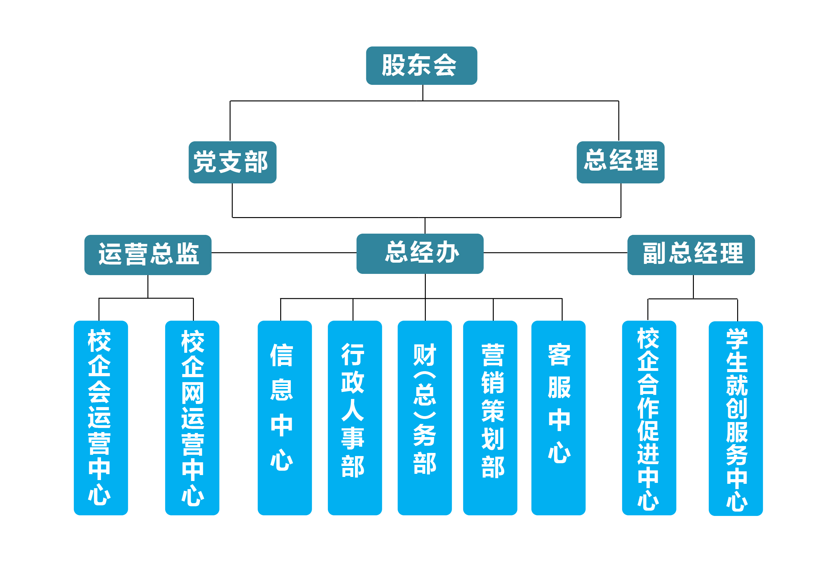 组织架构